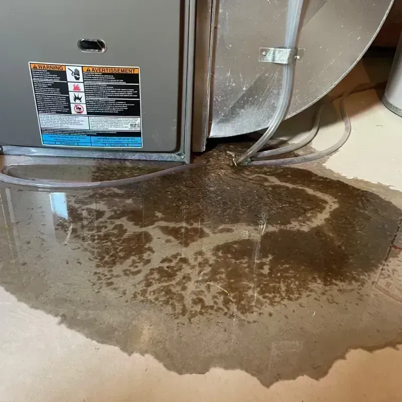 Appliance Leak Cleanup in Wickliffe, KY